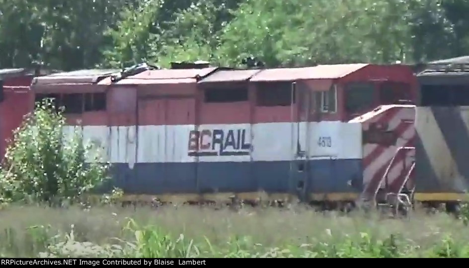 BCOL 4613